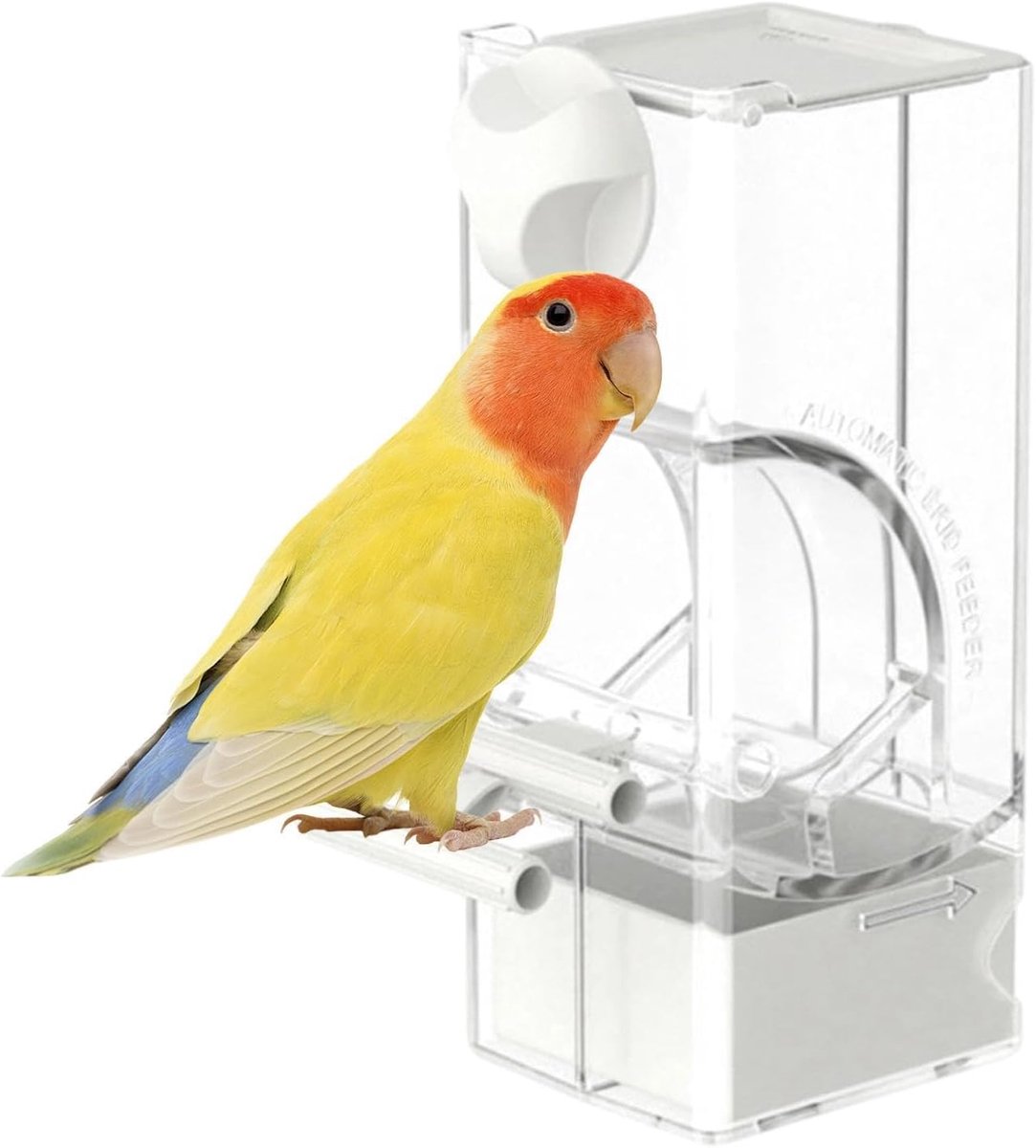 KZQ Automatische voerbak voor parkieten en valkparkieten – Voerbak geschikt voor conures – Ideaal voor huisdiereigenaren, dierenliefhebbers, trainers en dierenopvangcentra