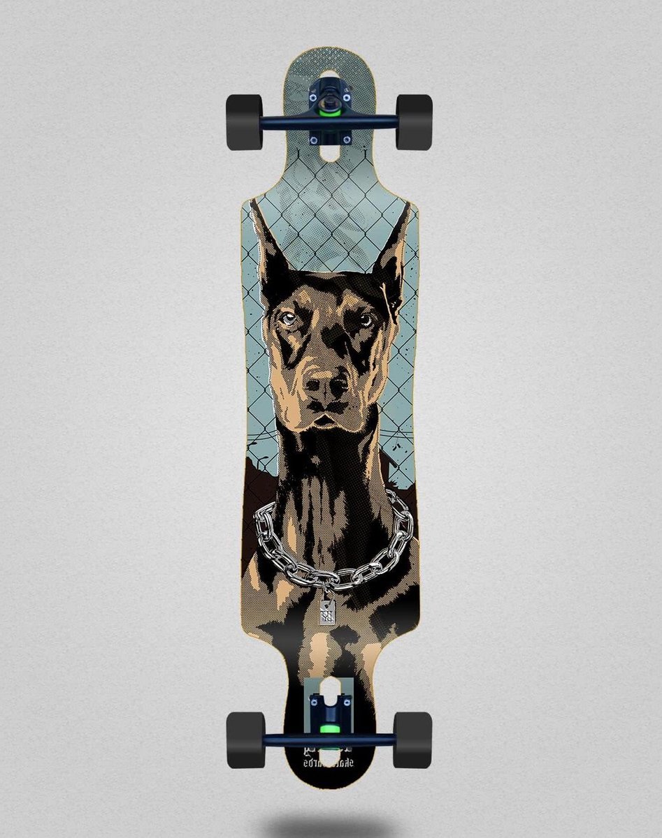 Longboard Skateboard Compleet Board Cruisen door stad Drop Through Design 40×9 inch