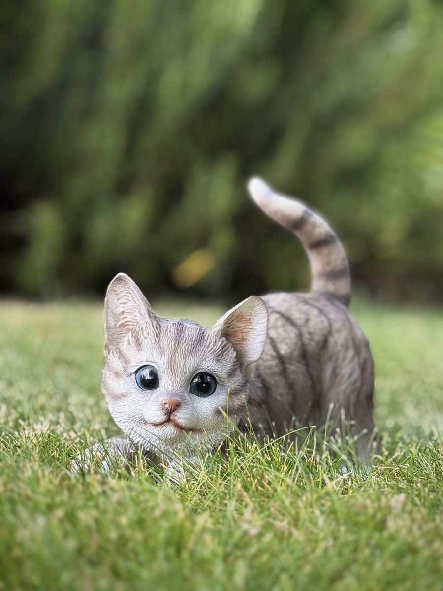 poes spelend sluip grijs 16 cm hoog ess - decoratief beeld - kat - kitten - dierenbeeld - voor buiten - cadeau - geschenk - verjaardag - voor hem - voor haar - Vaderdag - Moederdag - Valentijn - Pasen