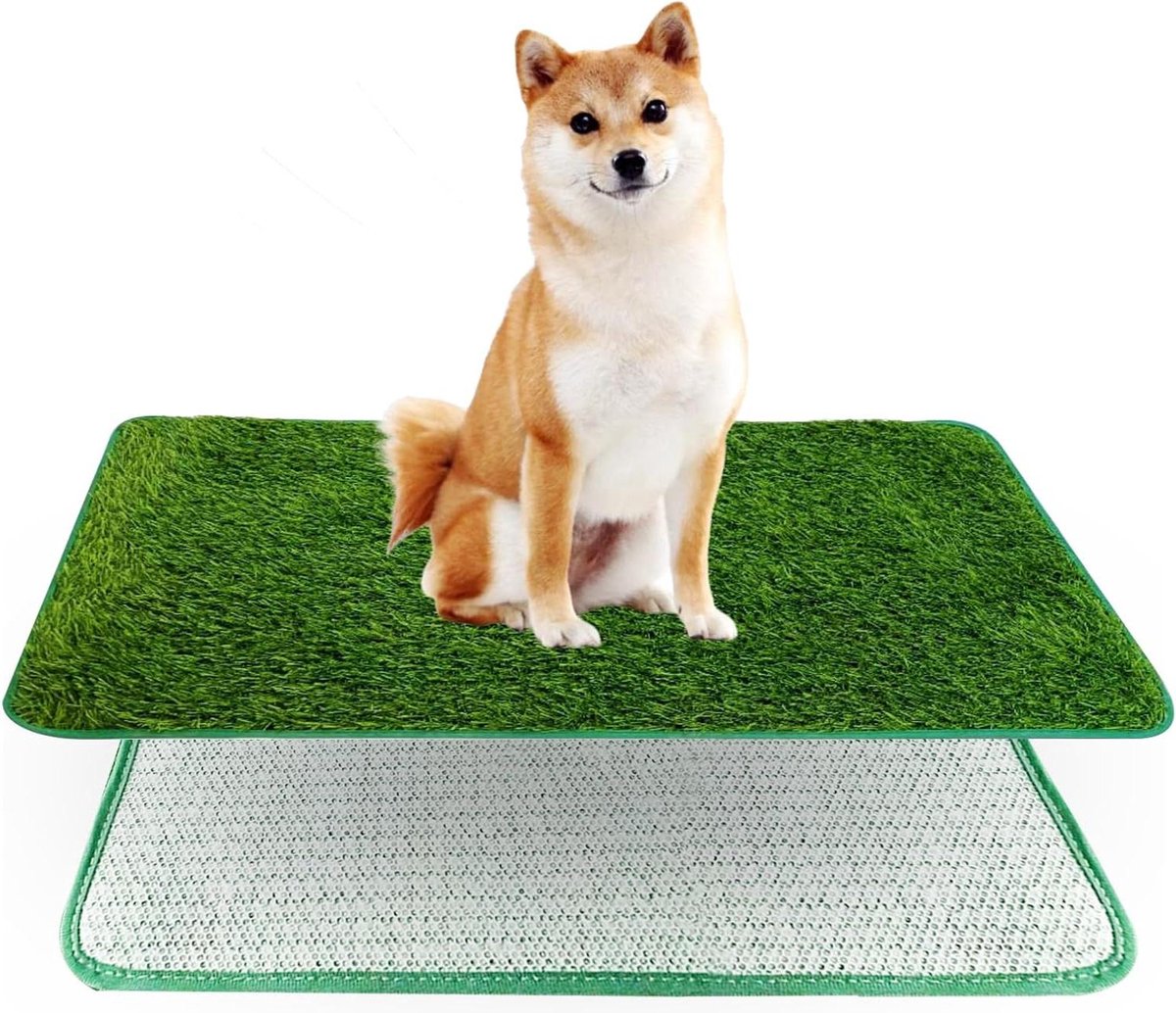 Hondentoilet - Puppy Trainingsmat - Zindelijkheidstraining - Superieure Drainage - 71 x 46 cm - Groen