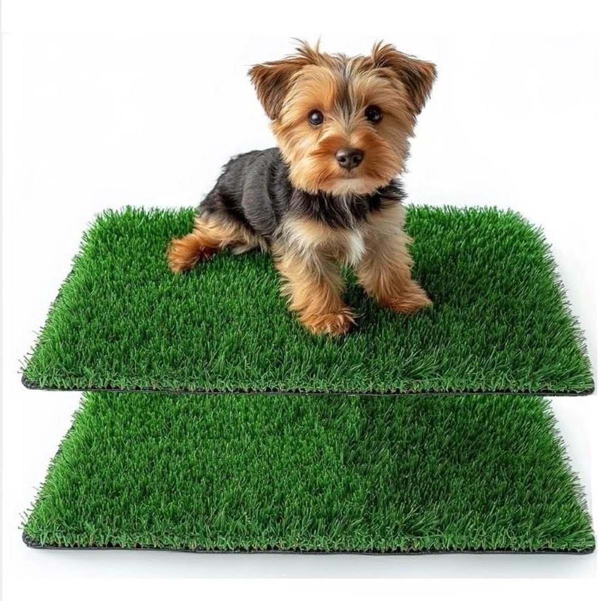 Honden Toilet - Puppy Trainingsmat - Zindelijkheidstraining Binnen - Realistisch Kunstgras - 38 x 50 cm - Groen