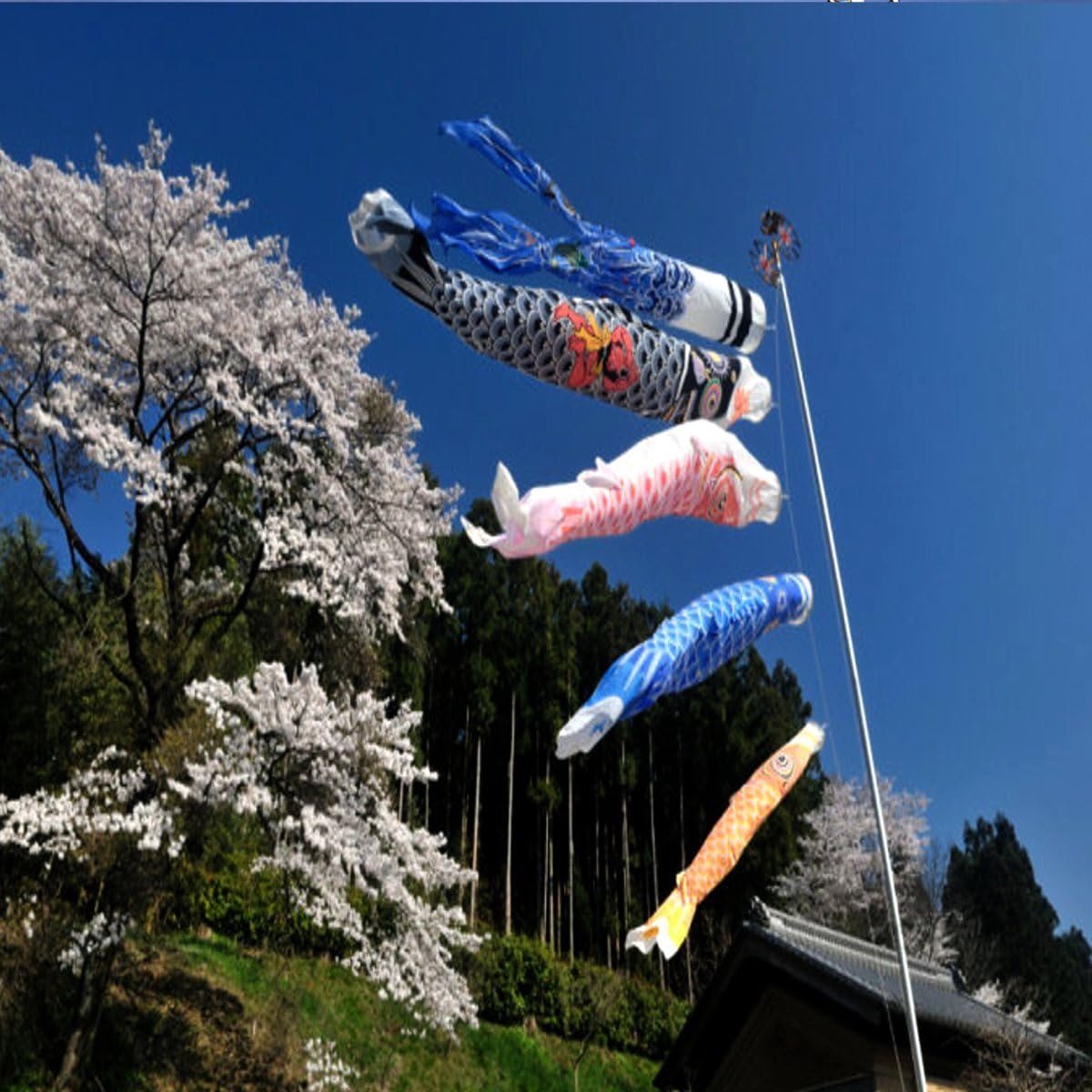 1 set van 5 Japanse vlag karperbanners windzak matroos Koinobori windstreamer veelkleurige vissen - ShopVlot