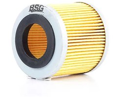 BSG Oliefilter 90-140-005 voor VW Polo 9N 6R Fox Seat Ibiza Cordoba Toledo Skoda Fabia Roomster Rapid 1.2 12V Benzine | OEM 03D115466A | 03D198819 | 03D115466B