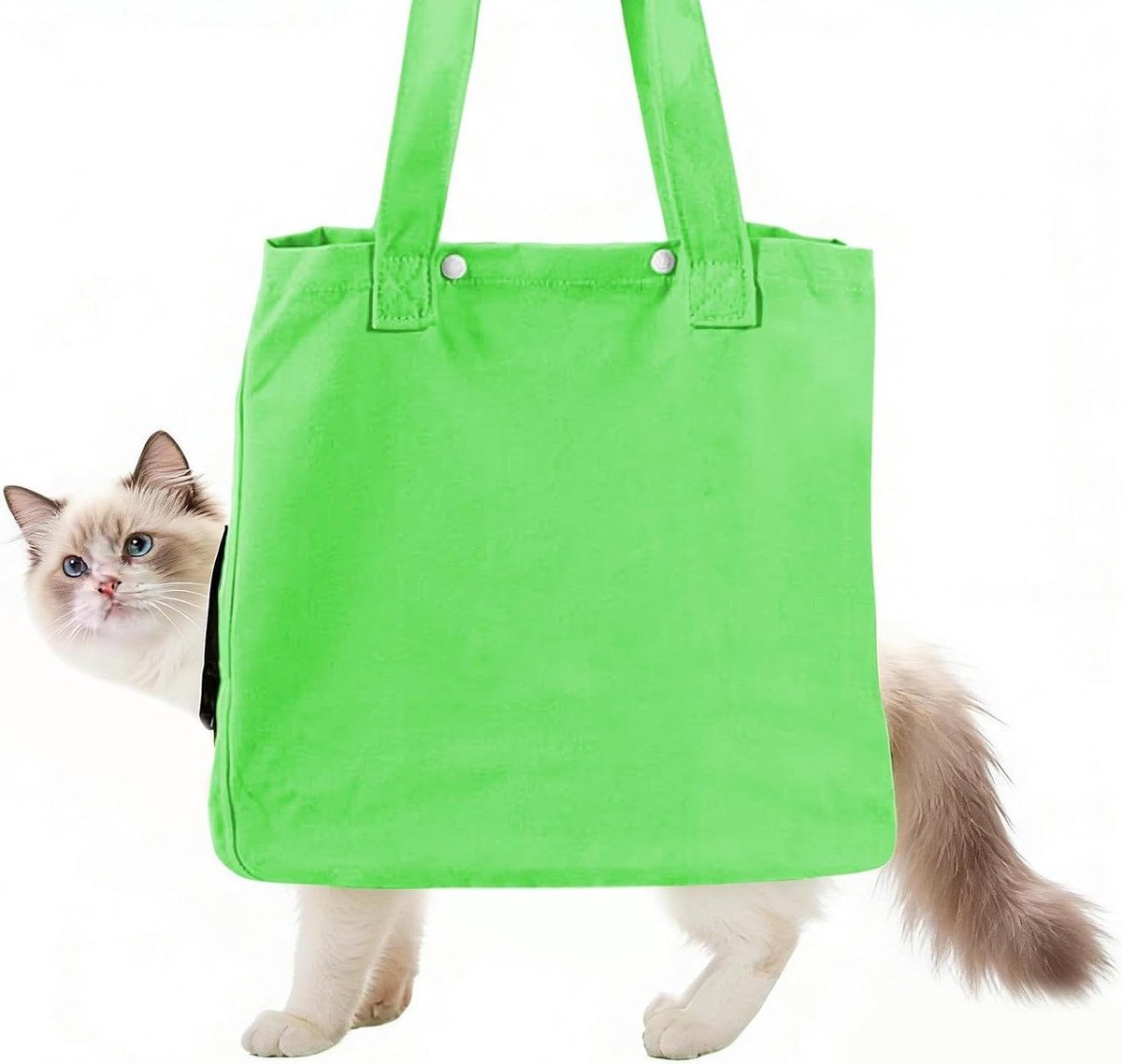 Draagtas voor katten - Reistas huisdier - Veilig vervoer - Ademend ontwerp - 36 x 36 x 17 cm - groen