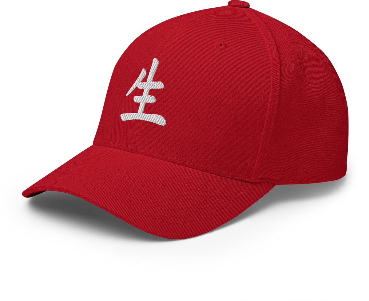 HTT Japanese Life Symbol Cap – Unisex Flexfit Pet – Japanse Streetwear Cap – Geborduurd
