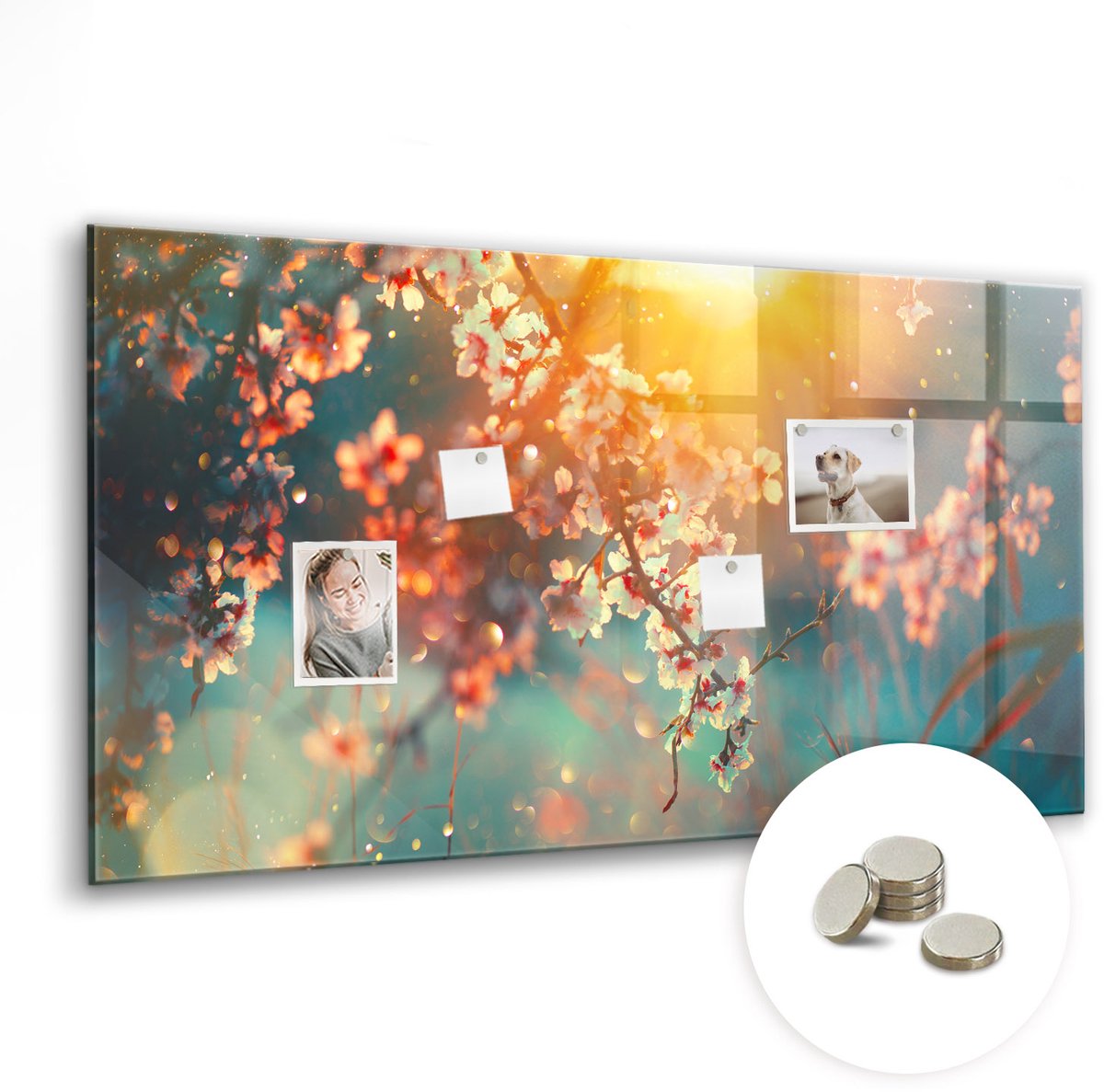 Coloray Glazen Magneetbord - Magnetisch Bord Iedereen heeft een verhaal. - 120x60 cm - Veelkleurig Magneetbord - Magnetic Board - Bureau Decoratie