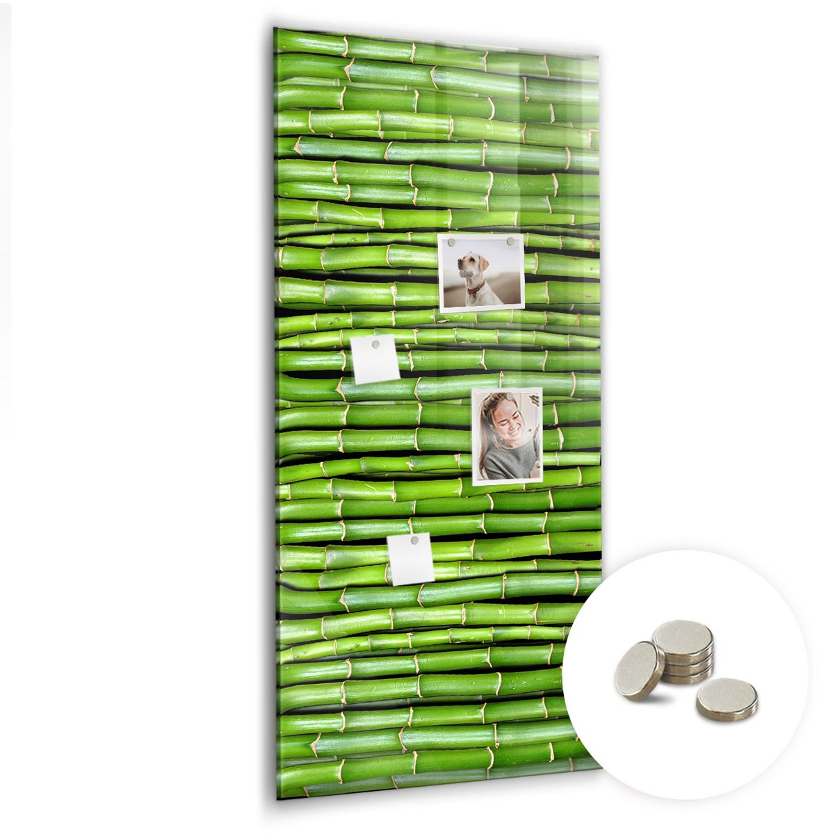 Coloray Glazen Magneetbord - Magnetisch Bord Bosbomen natuur - 60x120 cm - Groente Magneetbord - Magnetic Board - Woonkamer Decoratie