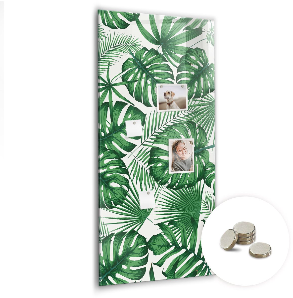 Coloray Glazen Magneetbord - Magnetisch Bord Retro poster - 60x120 cm - Groente Magneetbord - Magnetic Board - Magnetisch Wandbord