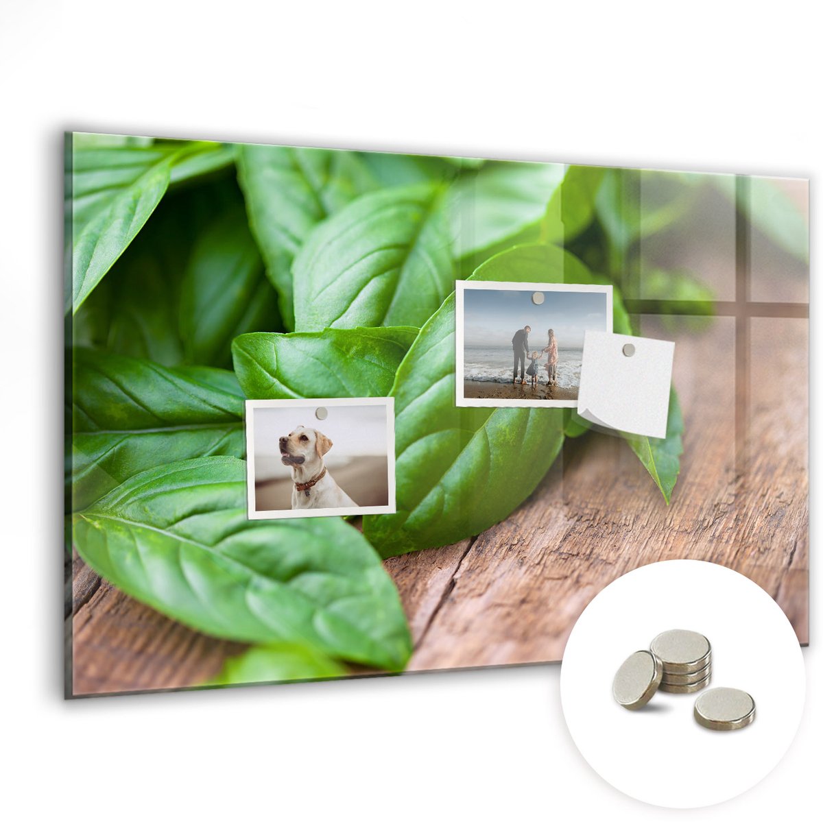 Coloray Glazen Magneetbord - Magnetisch Bord Basilicumblaadjes - 60x40 cm - Groente Magneetbord - Magnetic Board - Magneetbord Design