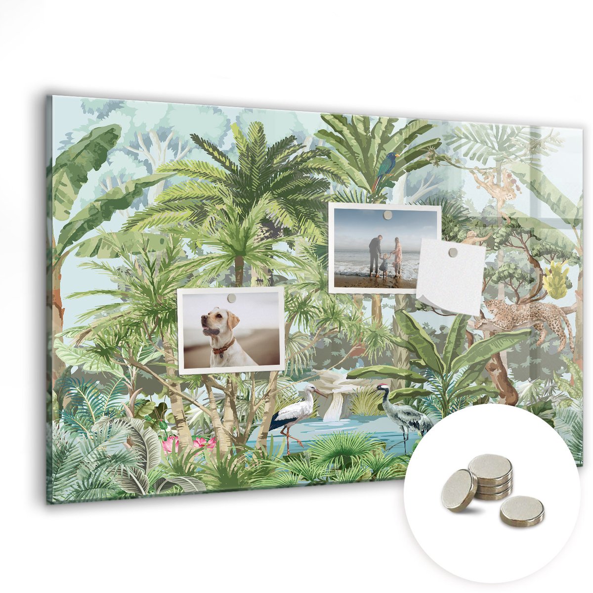 Coloray Glazen Magneetbord - Magnetisch Bord Natuur, jungle, natuur - 60x40 cm - Groente Magneetbord - Magnetic Board - Woonkamer Decoratie