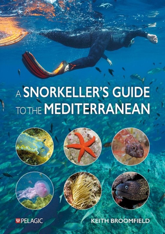 A Snorkeller’s Guide to the Mediterranean - cover