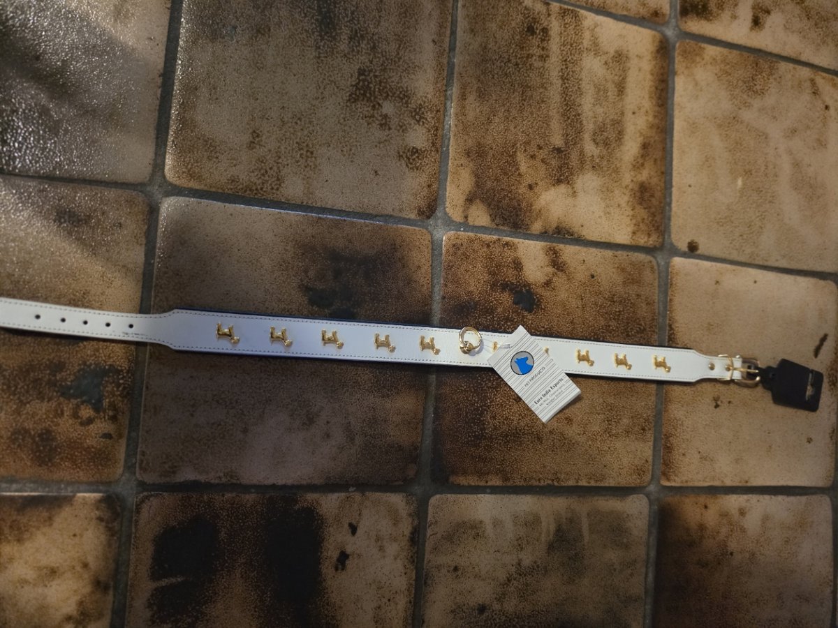 Halsband dubbelgestikt Wit met versieringen 55 cm 25 mm 44/49.5