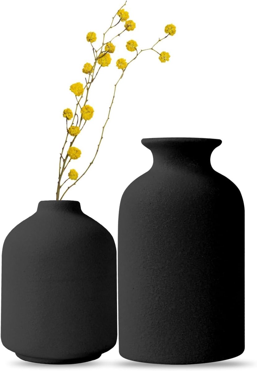 Thijox - Set van 2 Kleine Keramische Vazen, Decoratieve Witte Bloemenvazen voor Pampasgras en Gedroogde Bloemen, Modern en Rustiek, Perfect voor Huisd