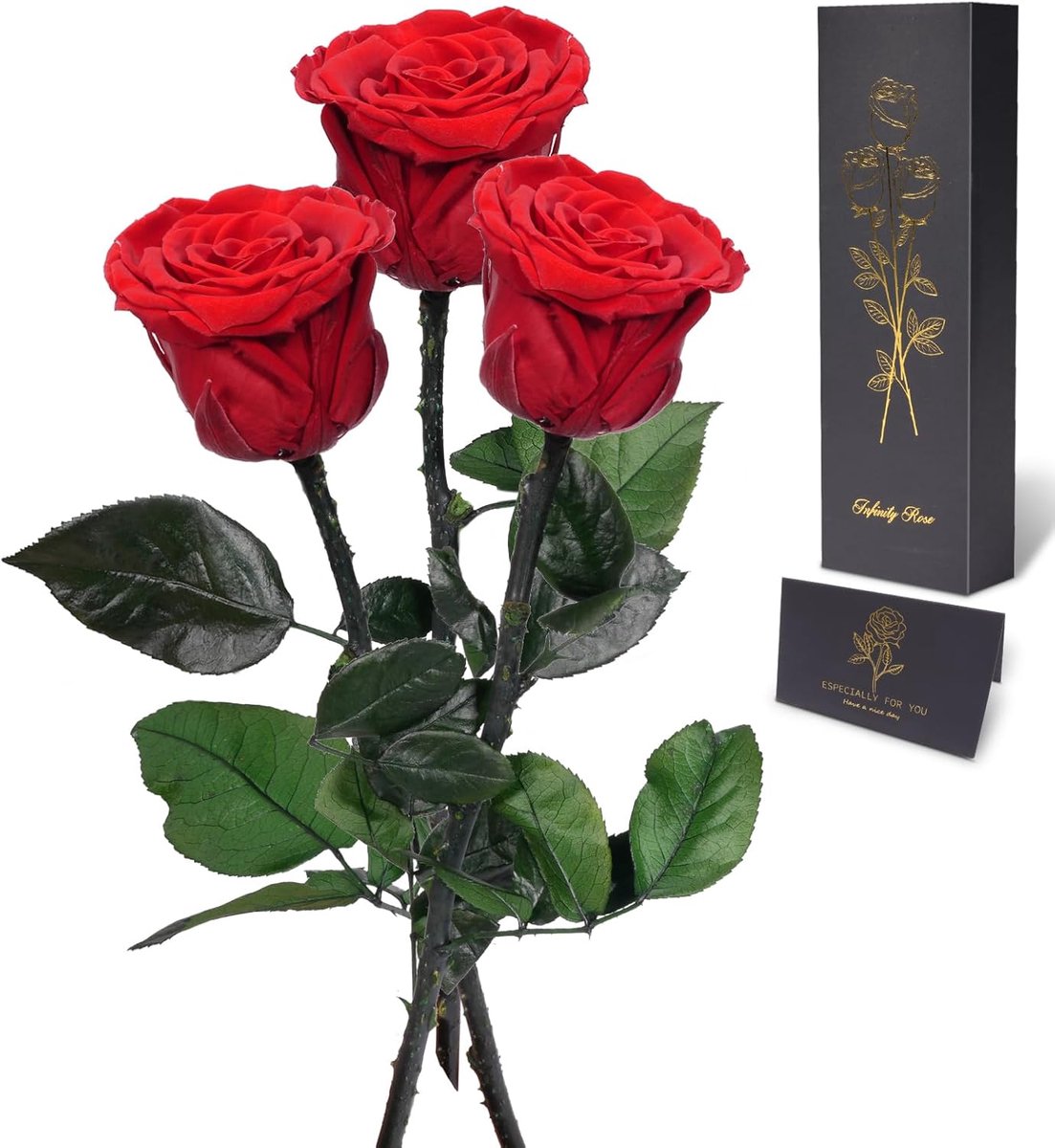 SnelShoppen - Eternity Rose Geschenk voor Vrouwen, Bewaarde Rozen met Steel, Verjaardagscadeau, Natuurlijke Rozen, Valentijnsdag Gift, 3 Rode Rozen