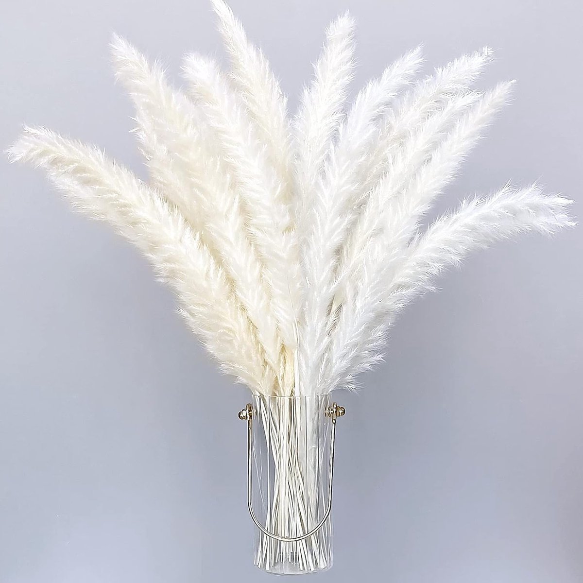 Natuurlijke Gedroogde Pampasgras 30 Stuks 40cm - Boho Huisdecoratie, Phragmites Communis, Bloemen voor Vazen en Bruiloften