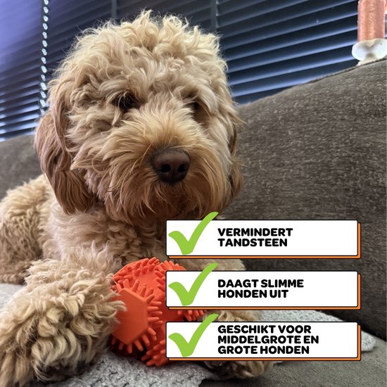 Labbetje met oranje speeltje: vermindert tandsteen, daagt honden uit, geschikt voor middelgrote en grote honden.