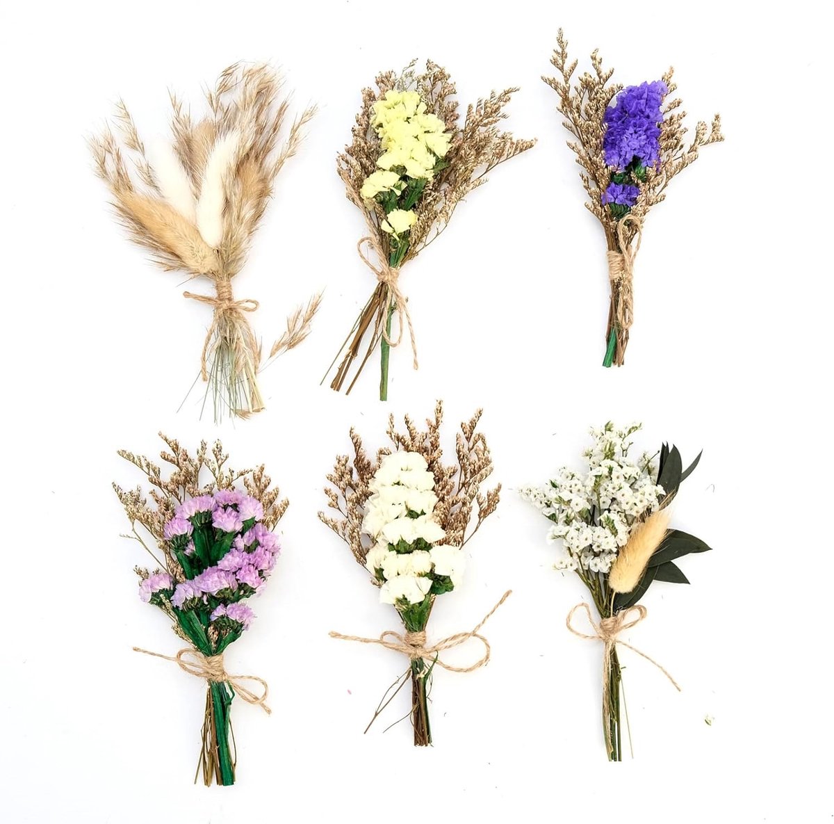 SnelShoppen - Mini Gedroogde Bloemen, 6 Bundels Natuurlijke Bloemen, DIY Bloemen voor Fotolijsten, Creatieve Klussen, Dagelijkse Huisdecoratie, Bruilo