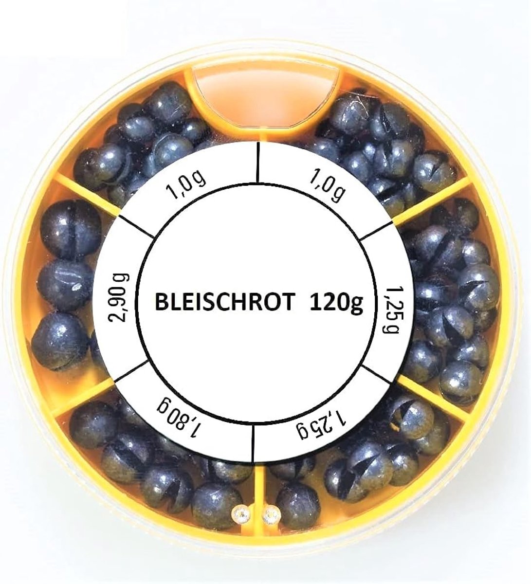 SnelShoppen - Lead Scrap Assortiment Box 120 g - 6 Compartimenten - Verschillende Gewichten 1 g, 1.2 g, 1.7 g, 2.8 g - Ideaal voor Vissen en Hobbyproj