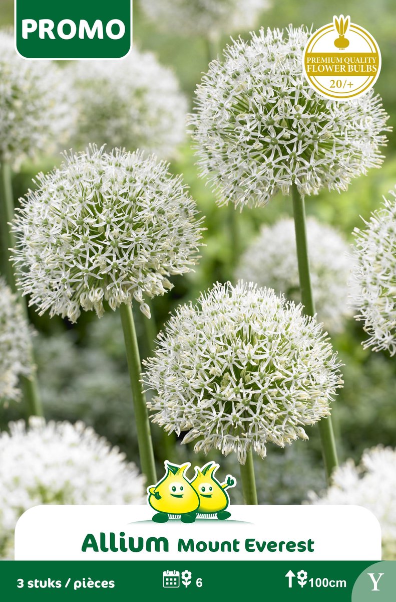 1 Zakje Promoverpakking Allium Mount Everst 3 stuks maat 20/+