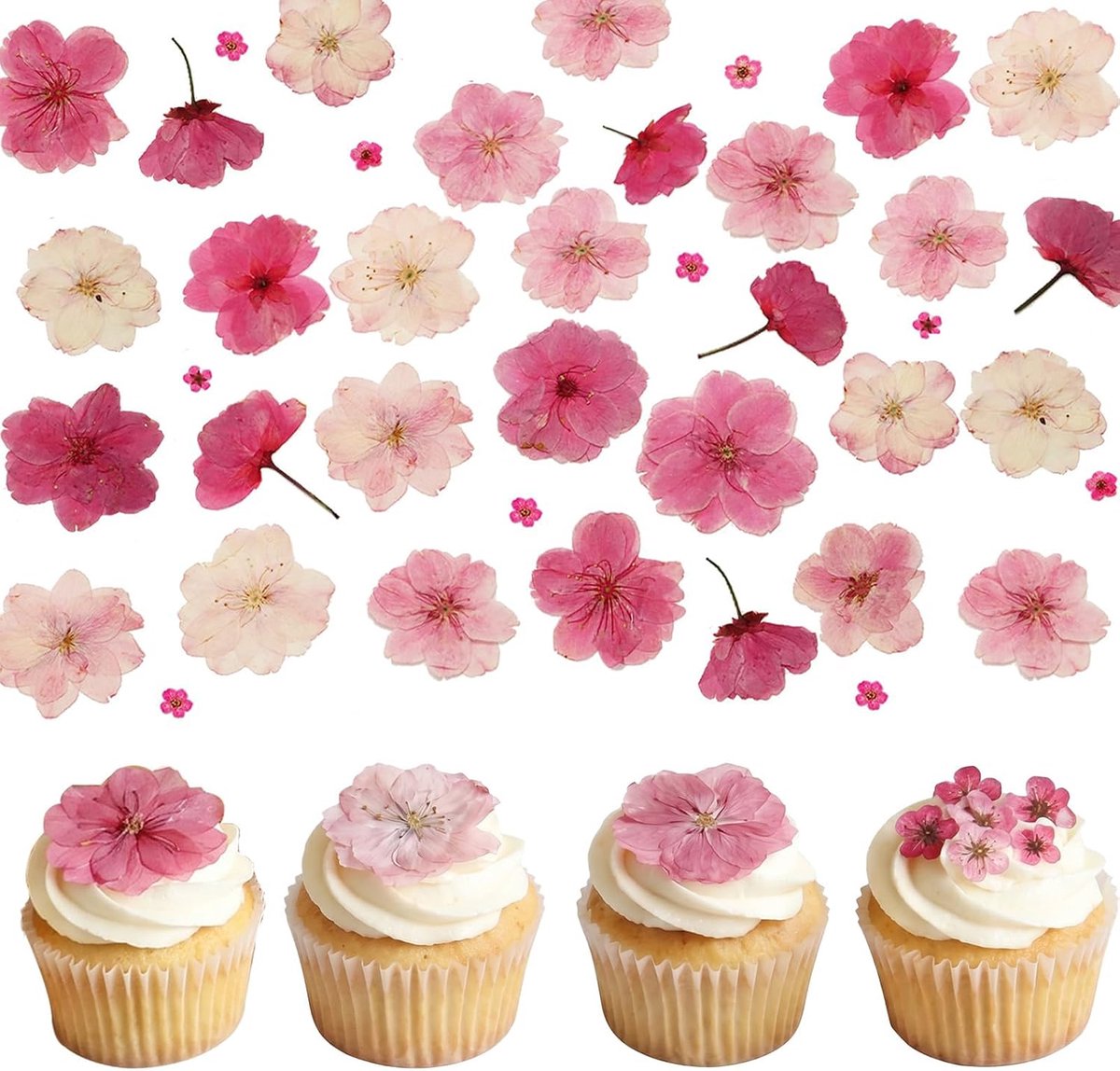 SnelShoppen - 50 Stuks Natuurlijke Gedroogde Roze Bloemen voor Taartdecoratie, Persbloemen voor Bakken, Drankjes en Cocktails, Echte Bloemdecoratie vo