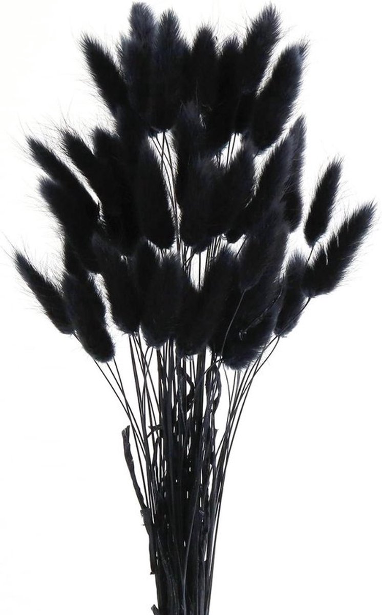 Decoratie Pampas Gras - Gedroogd Zwart 50 Stuks voor Woonkamer en Bruiloft - Boho
