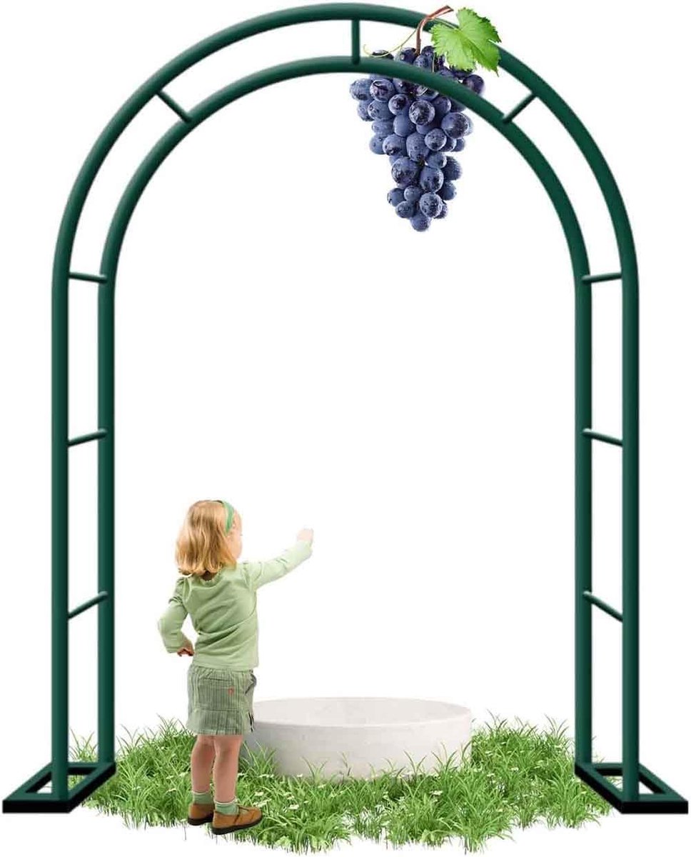 Tuinboog Metaal - Rozenboog - Decoratieve Entree - Weerbestendig Staal - 180 x 220 cm - Zwart