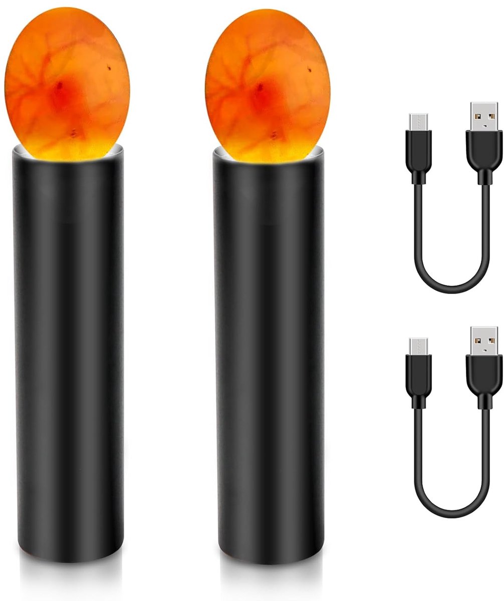 Eier Tester LED Licht - Pack van 2 - ABS materiaal - Voor embryo ontwikkeling monitoring - ShopVlot