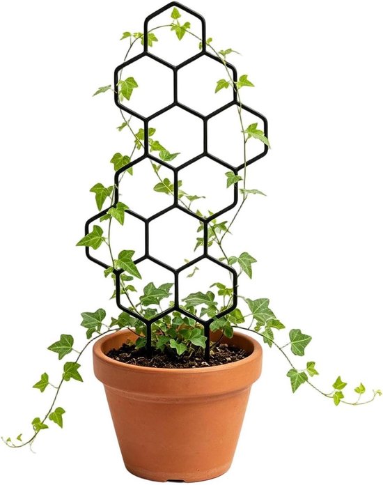 Plant Trellis - Klimplantsteun Plantondersteuning - Planten Ondersteunen - Honingraat Bladpatroon - 38x15 cm - Zwart