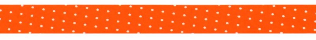 Biais band stip 20mm - 3m
