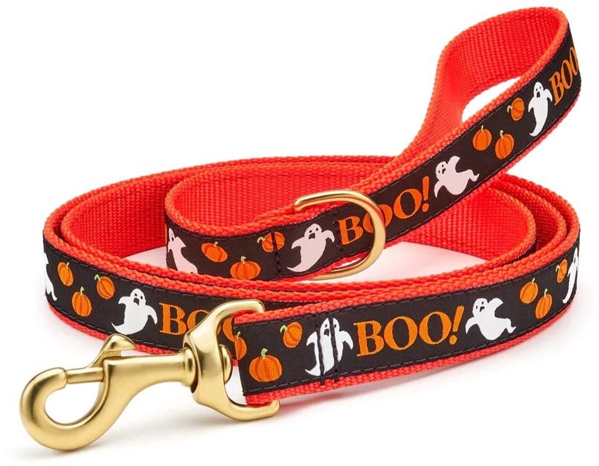 Omgoods - Smalle Hondenlijn 5/8 inch
