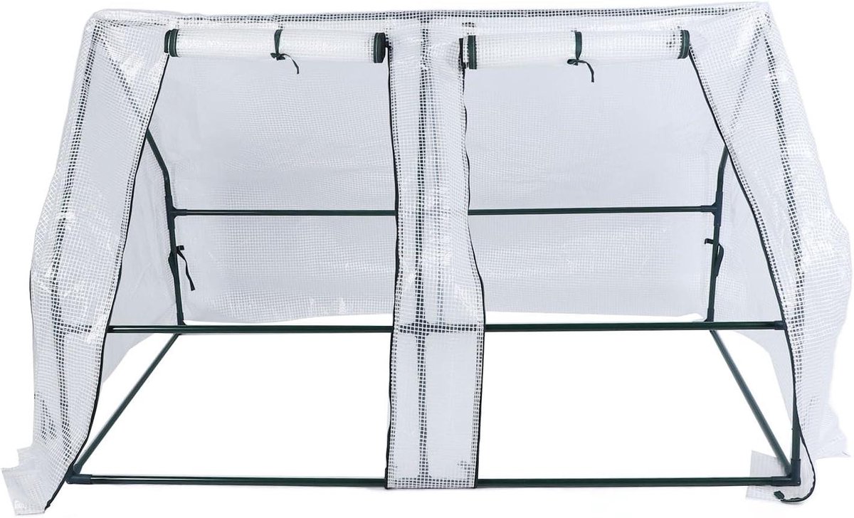 Tuinkas Mini - Kweekkas Vorstbestendig - Planten Beschermen - Stalen Frame PE Folie - 150x90x90cm - Transparant