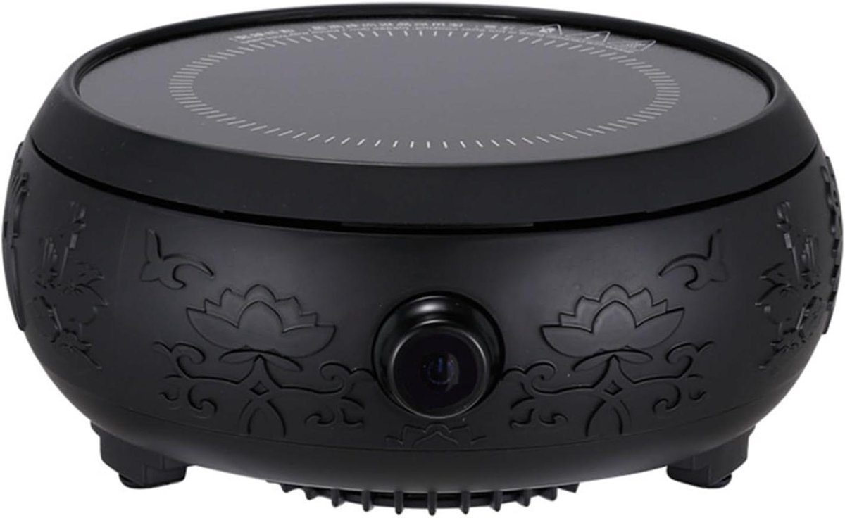 Kleine Inductie Kookplaat - Elektrisch Fornuis Theemaker - Water Koken - Compact Draagbaar - 21 x 9.5 cm - Zwart