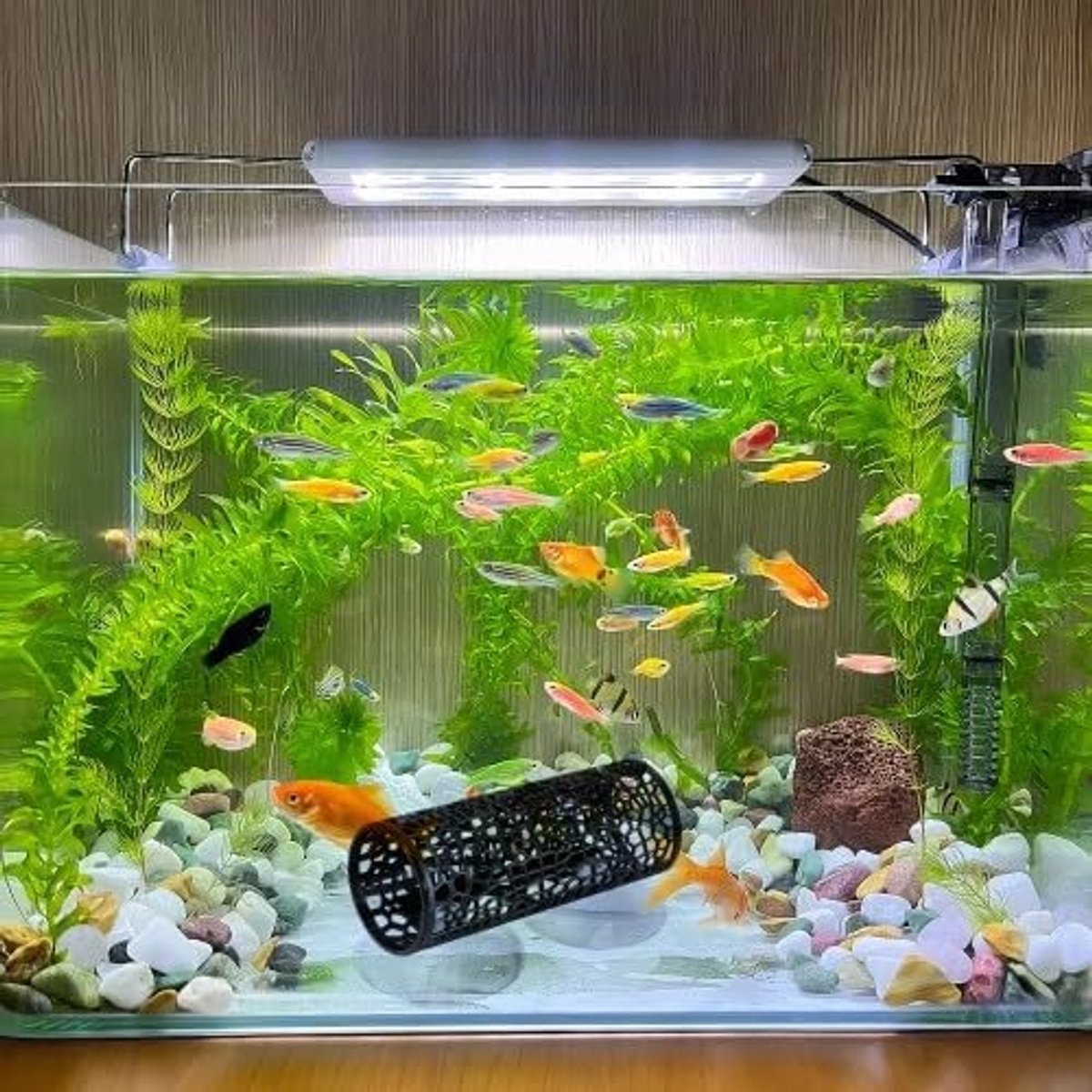 Betta vissen tunnels speelgoed - 2 stuks met zuignappen - visvriendelijk materiaal - ideaal voor schuilplaatsen - ShopVlot