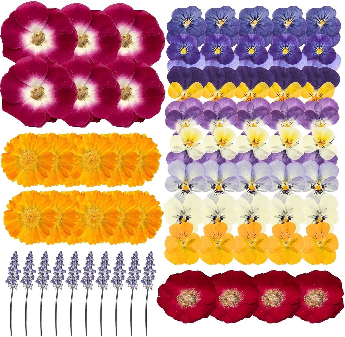SnelShoppen - Getrocknete Blüten Set - 70 Stuks Natuurlijk Torten Decoratie voor DIY Creatieve Projecten, Diverse Kleuren en Vormen, Perfect voor Fees