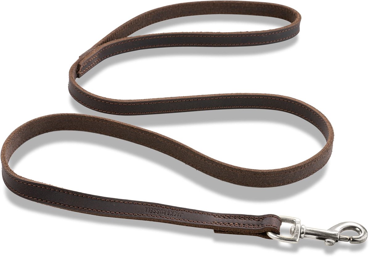 Omgoods - Premium Korte Hondenriem van Leer - Duurzame en Comfortabele Leash voor Jouw Hond