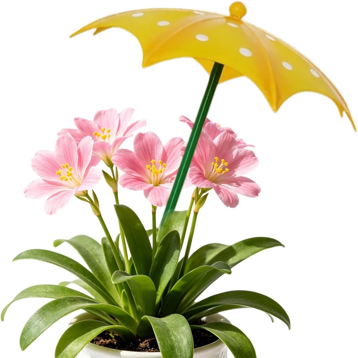 Plantenparaplu Tuin - Mini Tent - Bescherming Buiten - UV Bestendig Doek - 42.5 cm - Enkel