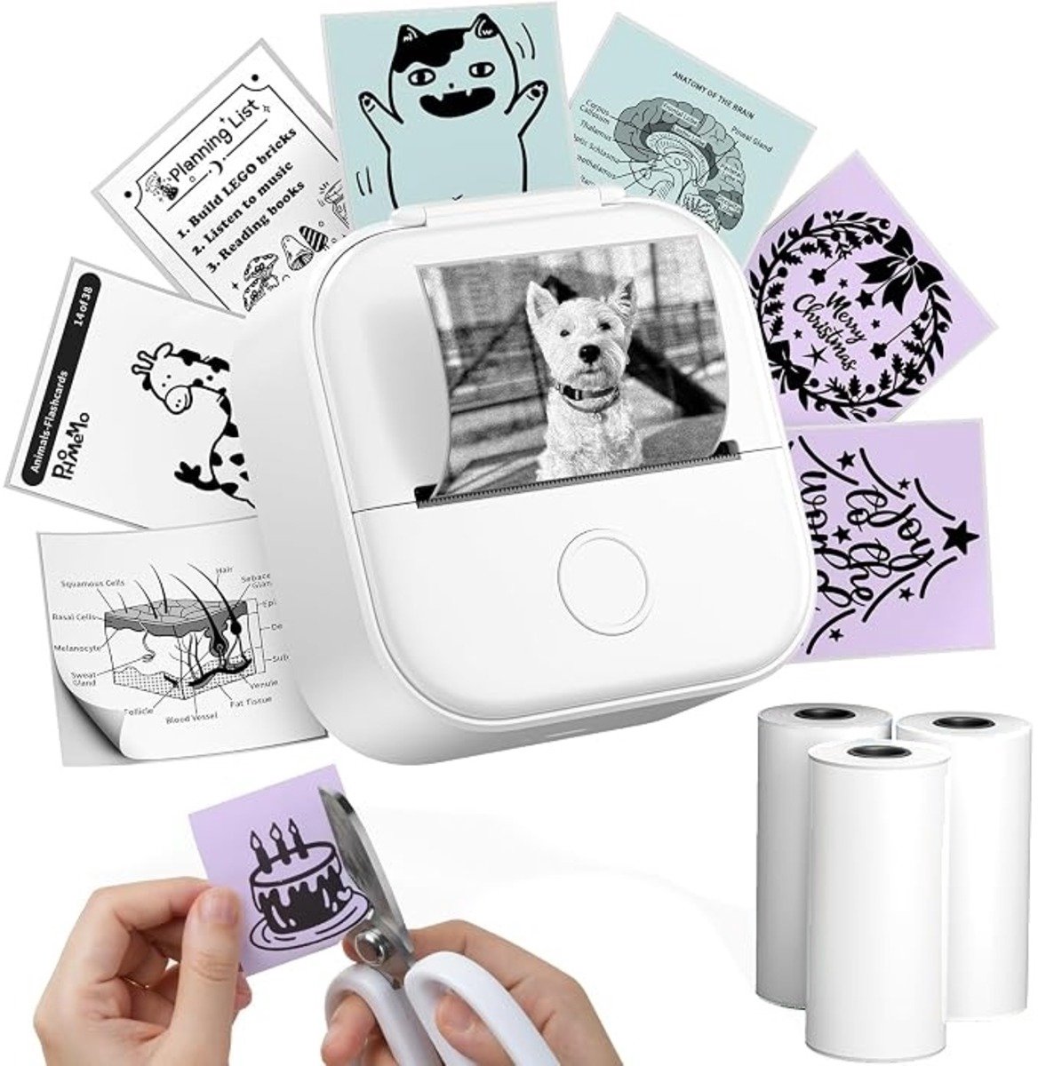 Phomemo T02 Mini Printer | Draadloze Sticker & Labelprinter | Bluetooth Thermische Printer | Inktloos | Incl. 3 Rollen Stickerpapier 50 mm | Bullet Journal & Scrapbook | iOS & Android | Wit