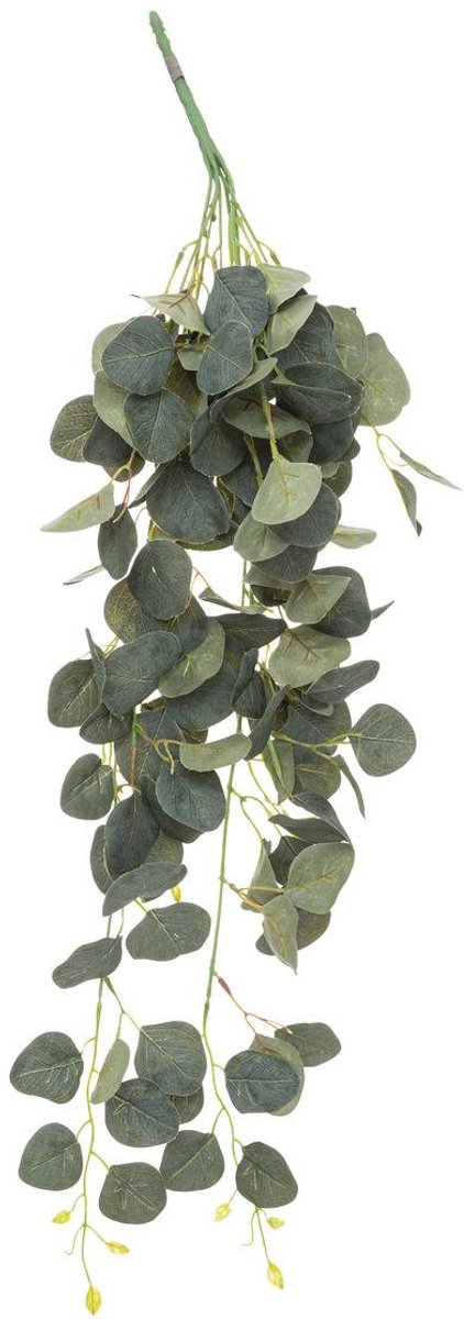 Kunstplant met hangende takken van eucalyptus