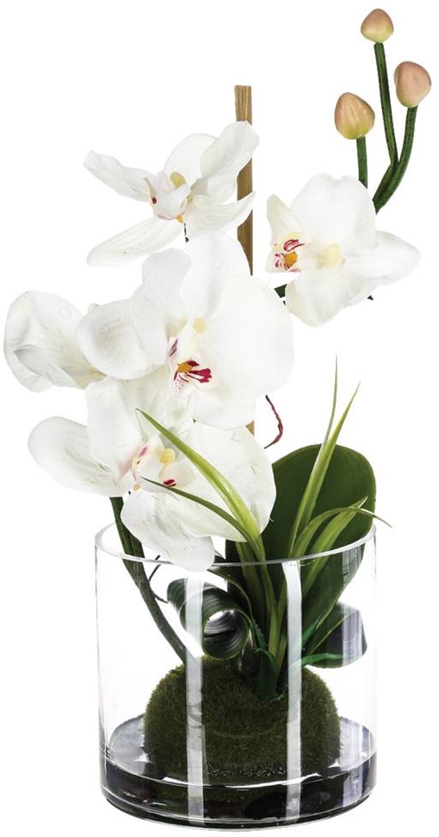 Compositie van kunstorchideeën ORCHIDEE