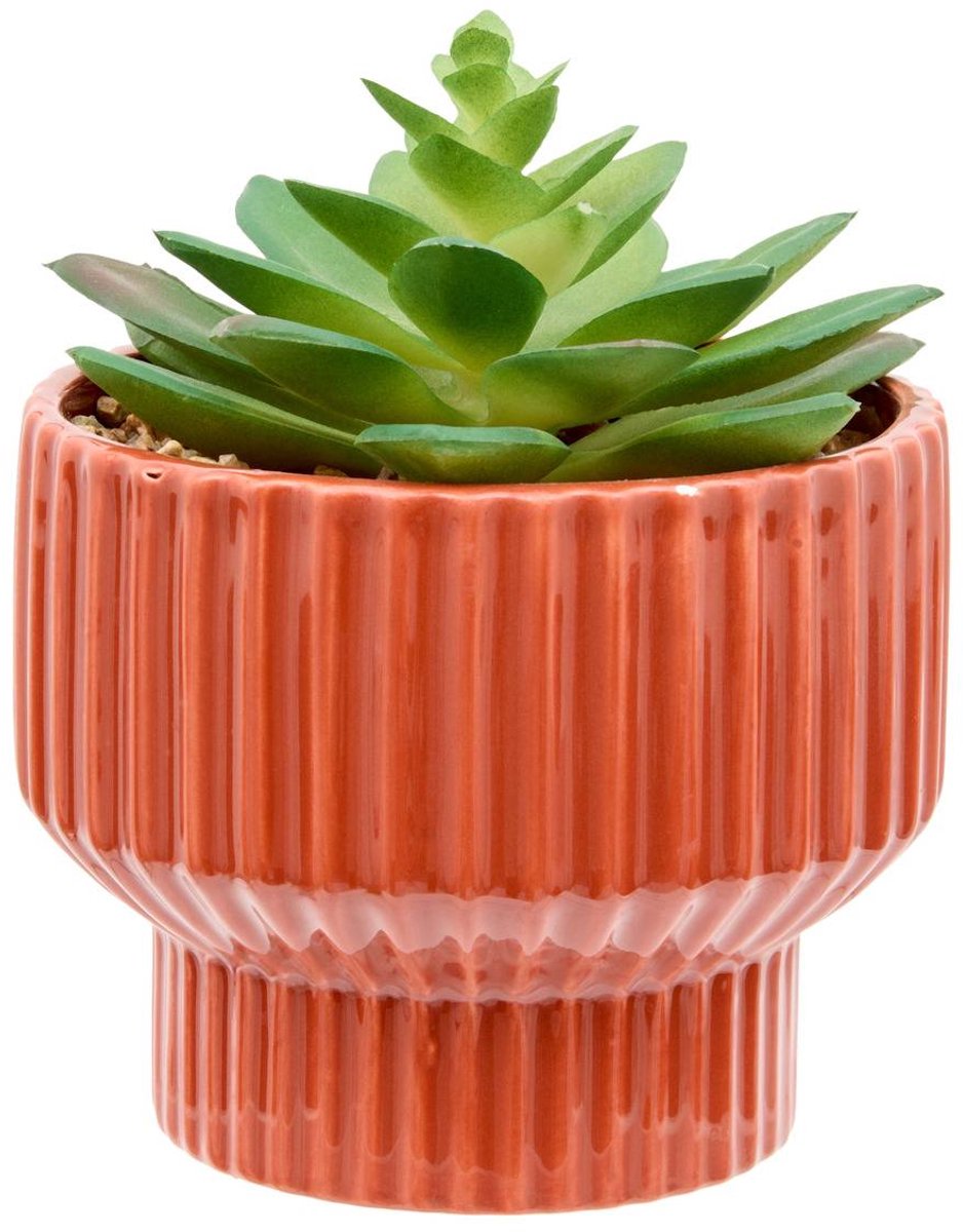 Atmosphera Créateur d'intérieur® Kunstplant van Nippo met keramische pot Rouge