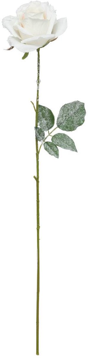 Branche rose blanc enneigée H62