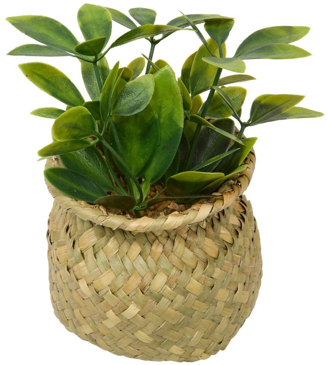 Kunstplant JIL