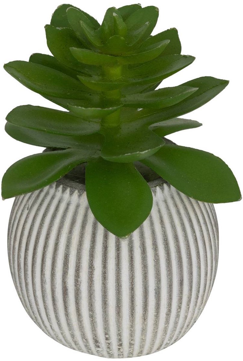 Kunstplant UBI