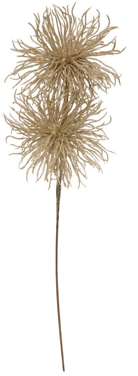 Branche 2 Oursins Paill Or 60 cm