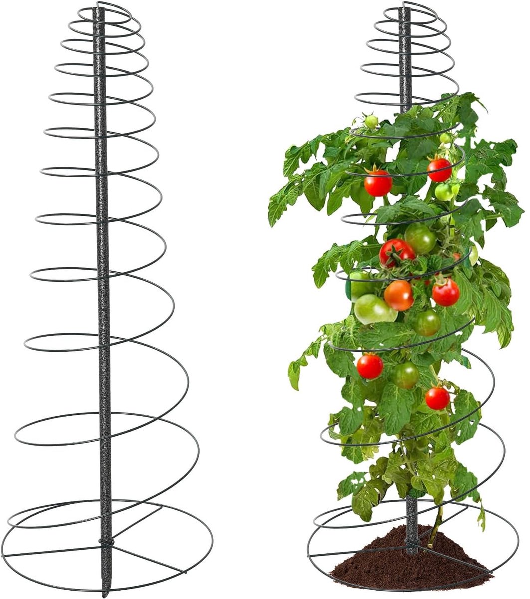 Omgoods - Set van 2 Metaal Tuinobelisk voor Klimplanten 120 cm