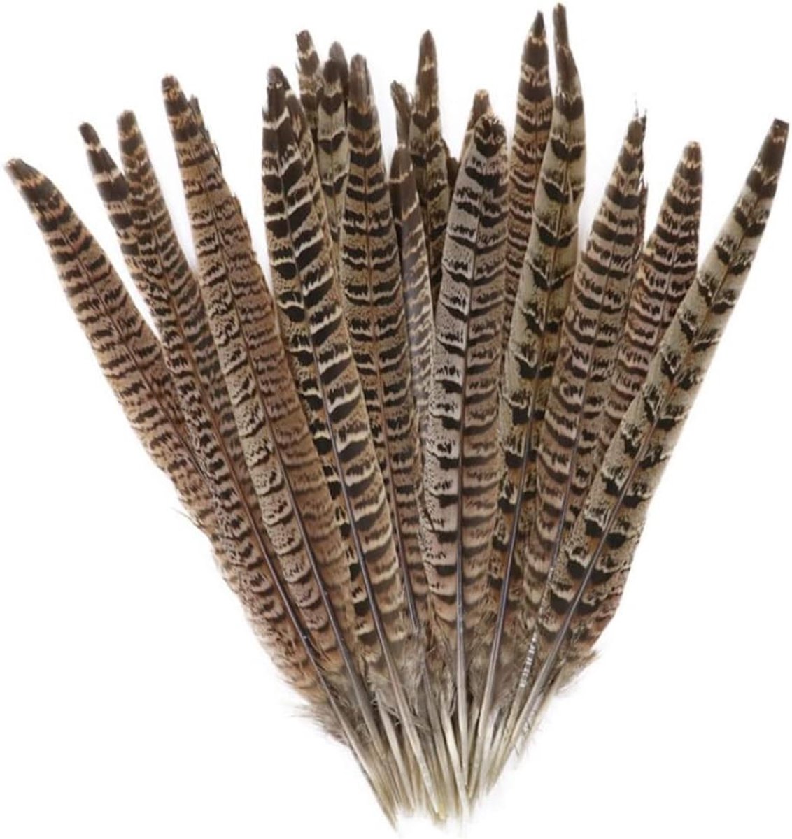 Natuurlijke Fasanveren voor Decoratie - 20 Stuks, 25-30 cm, Perfect voor Feestjes en Creatieve Projecten