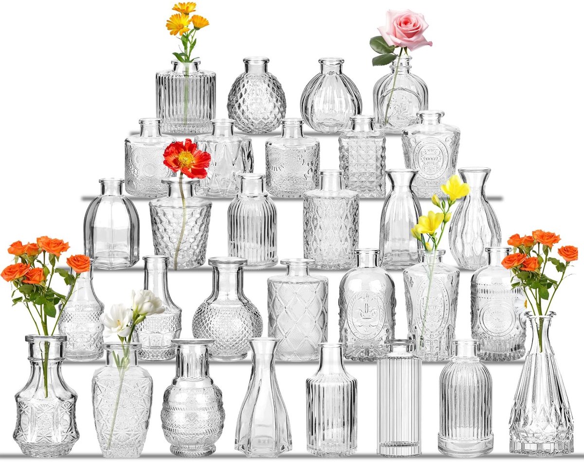 Omgoods - Set van 30 Mini Glazen Vazen voor Bloemen