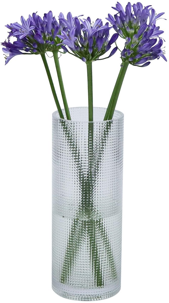 Omgoods - Transparante Cilindervaas van Glas, 25 cm Hoog