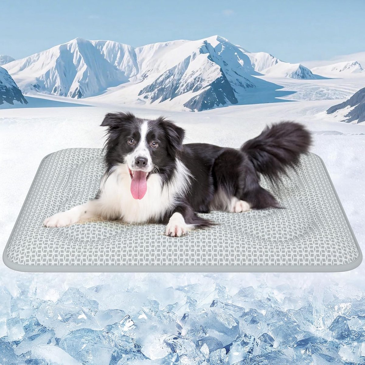 Ontkleuring, koelmat voor honden - waterdicht, wasbaar, zelfkoelend hondenmat met Arc-Chill & PCM PRO Tech - Extra dikke antislip draagbare geurloze hondenkoeldeken voor huisdieren zomer
