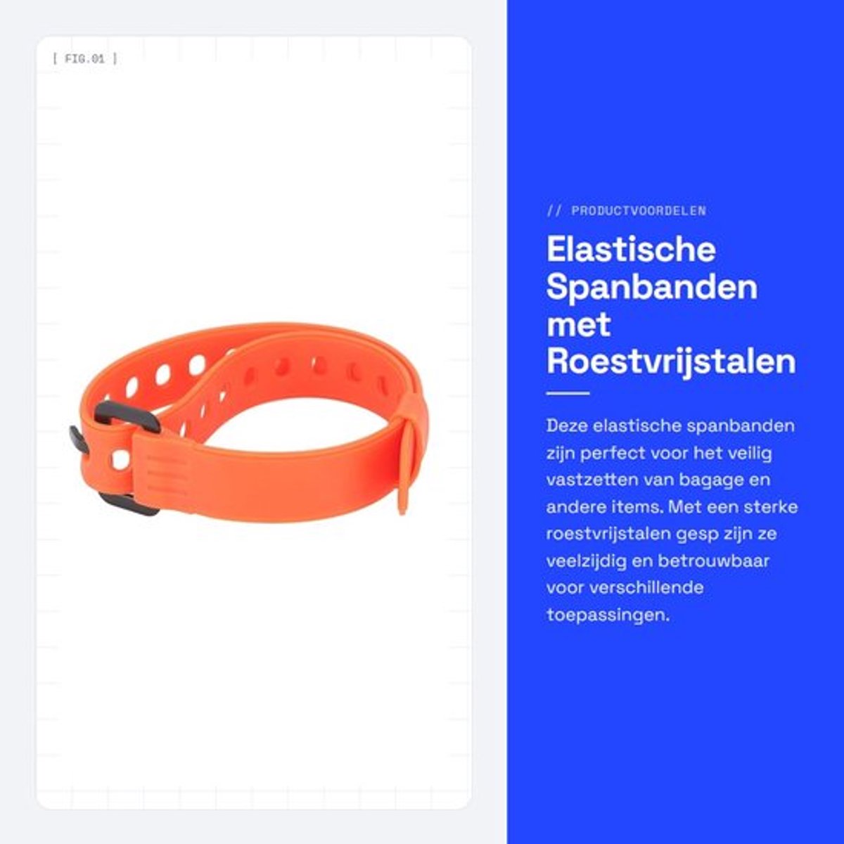Elastische spanbanden met roestvrije gesp Dailygoods